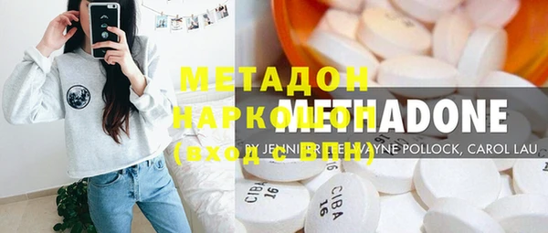 шишки Арсеньев