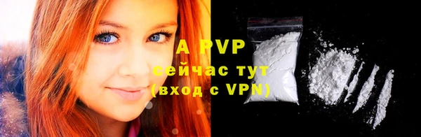 шишки Арсеньев