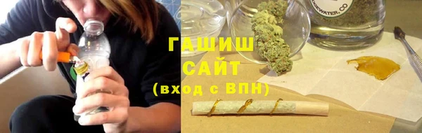шишки Арсеньев