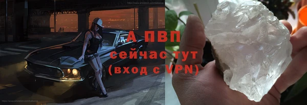 индика Армянск