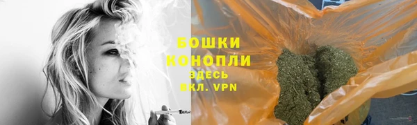 шишки Арсеньев