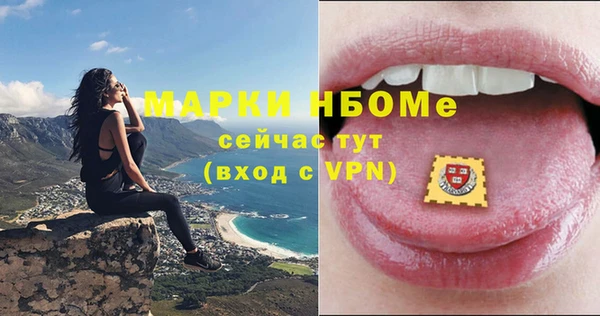 шишки Арсеньев