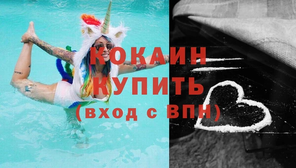 индика Армянск