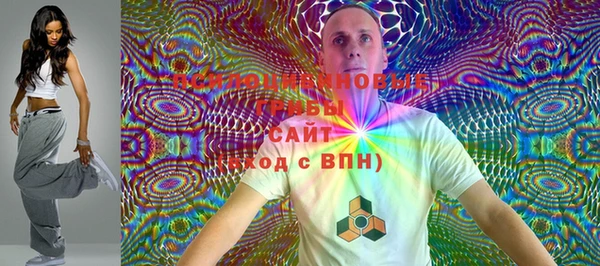 индика Армянск