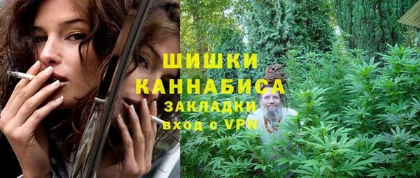 шишки Арсеньев