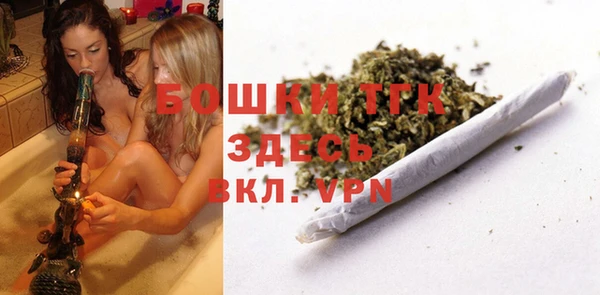 индика Армянск